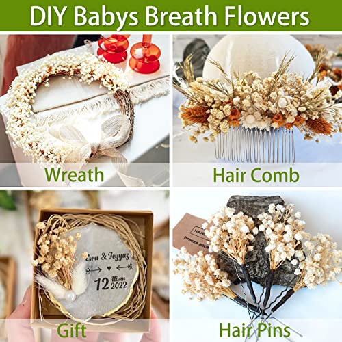 2500+ Dried Baby's Breath Flowers Bouquet - Natural White Dry Flowers Bulk, Gypsophila Branches For Wedding, Table Vase, Party Garden, Diy Wreath Floral, Arrangement Home Decor #TOP5