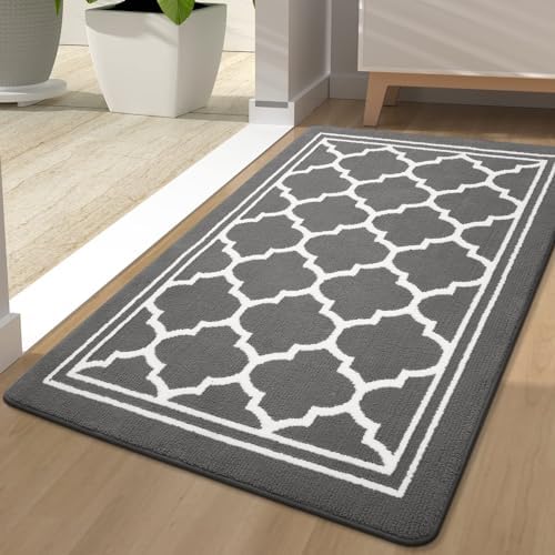Color G Door Mats Indoor, 80x120cm, Washable Front Door Mat Inside for