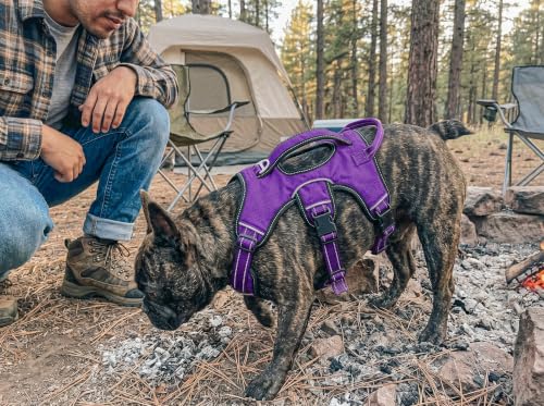 Image of Tuff Pupper Escape Proof No Escape Dog Harness | 5 Point Adjustable Fit Harness for Dogs | Padded Dog Harnesses | Handle Dog Lift Harnesses