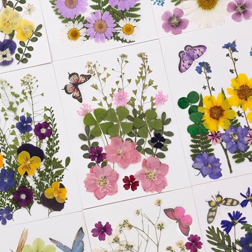 Flores secas prensadas para resina y manualidades miniatura 6