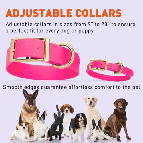 Image of Viper Biothane Heavy Duty Waterproof Dog Collar Strong Coated Nylon Webbing w /Solid Brass Hardware Odor-Proof Easy to Clean High Performance Fits Small Medium or Large Dogs, Passionfruit Pink