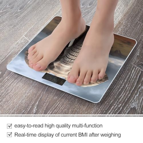 Báscula digital de baño con vidrio templado y LCD miniatura 5