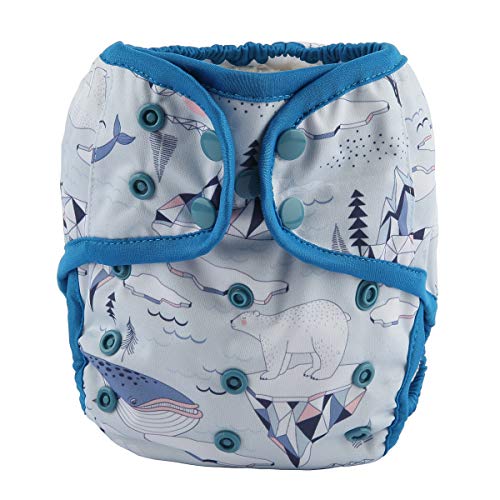Sigzagor - Pañales para bebé, talla única, 3,6 kg a 16,3 kg, diseño de osito