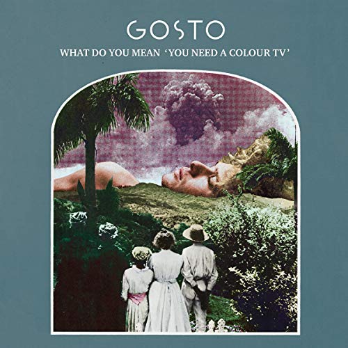 What Do You Mean 'You Need A Color Tv' (Black Lp)