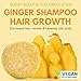 Ginger Rosemary & Rice Water Shampoo Bar Pack 3 - Hair Growth, Thickening, Strengthening, Anti Hair Loss, Volumize & pH Balanced - Sulfate & Silicone Free For All Hair Type