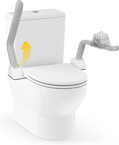 Dyna-Living Rieles de seguridad para inodoro, marco de seguridad para inodoro con soporte de carga de 480 libras, con reposabrazos de aleación de