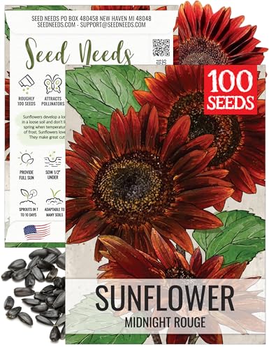 Seed Needs Midnight Rouge Sunflower Seeds to Plant Red Sun Flowers 1 Pack