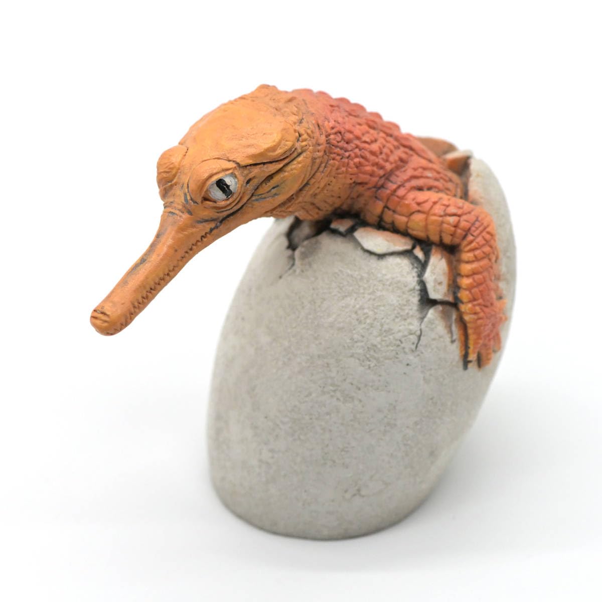 Amazon.co.jp: 海洋堂AQUALAND AQM-024「インドガビアル（ふ化）」原型