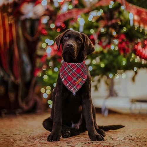 ADOGGYGO Christmas Dog Bandanas with Tassels Stylish Plaid Dog Scarf Bib Premium Cotton Fabric Red Green Christmas Bandanas for Medium Large Dogs Pets Large