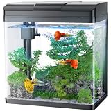 PONDON Fish Tank, 1.7 Gallon Glass Aquarium with Air Pump & LED Light & Filter, Small Fish Tank for 