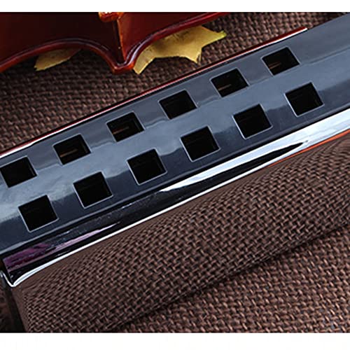 Harmonica Mini Bass harmonica Pocket Bass ensemble orchestre armonica 12 trous harpe orgue pour débutants instruments - Les Beatles, Paul McCartney, John Lennon, RIngo Starr, George Harrison Harmonica Mini Bass harmonica Pocket Bass ensemble orchestre armonica 12 trous harpe orgue pour débutants instruments – Image 6