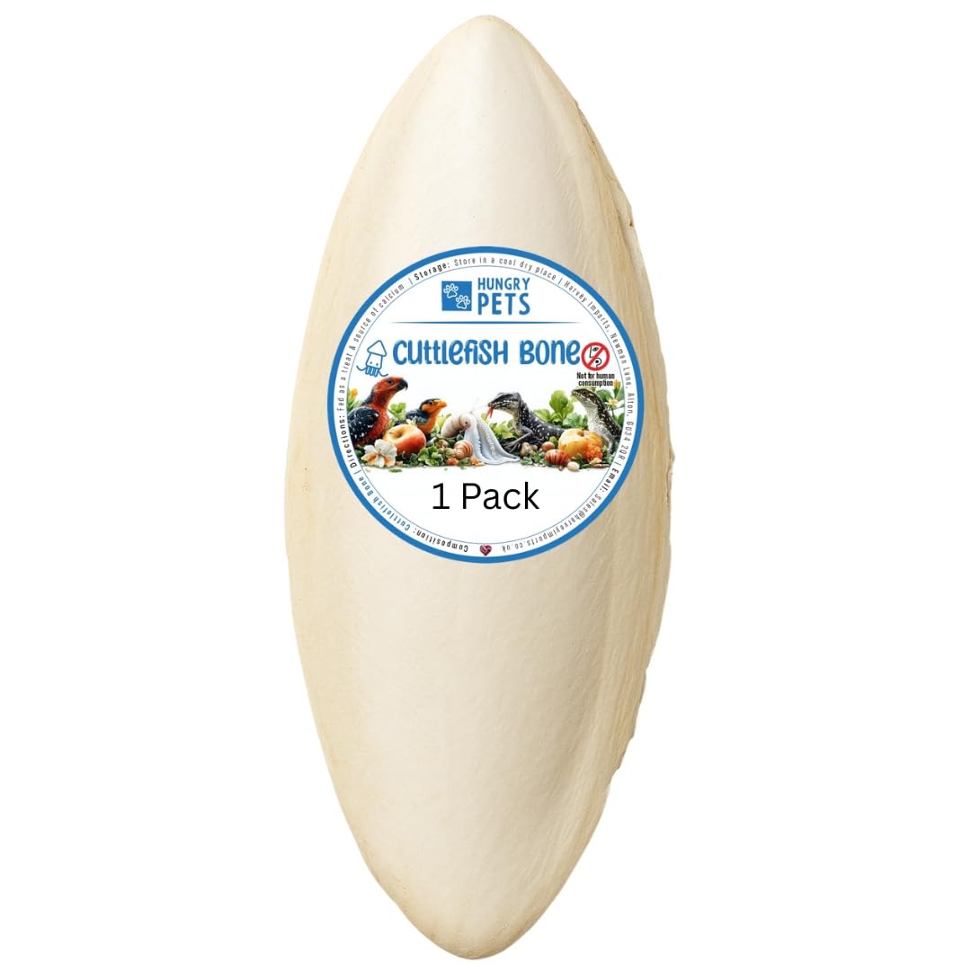 Cuttlefish Bone 1 Pack - for Birds Reptiles Snails 9-15cm