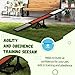Beaunicorn Dog Ramp, Fir Wood Dog Agility Course Backyard Set, Anti-Slip Dog Agility Training Equipment Pet Ramps for Small Dogs, Pet Seesaw Suitable for Large Dogs