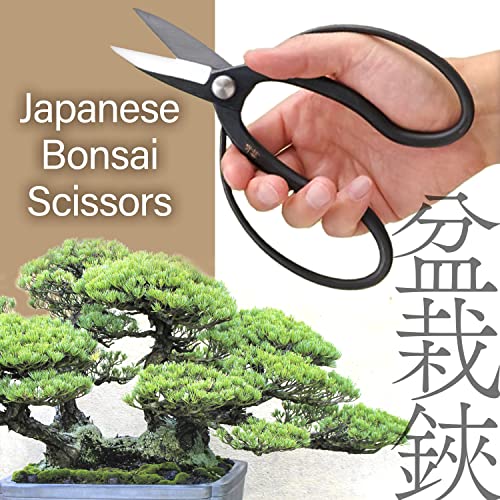 Tijeras para Bonsái YAMASAN KYOTO UJI 7.87 pulgadas miniatura 2