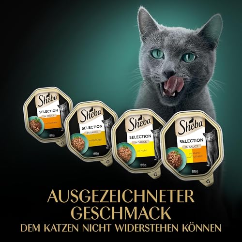 SHEBA Adult Katzenfutter nass - 32x85g Schalen - Geflügel Variation in Sauce - Nassfutter für Katzen - 1 Großpackung