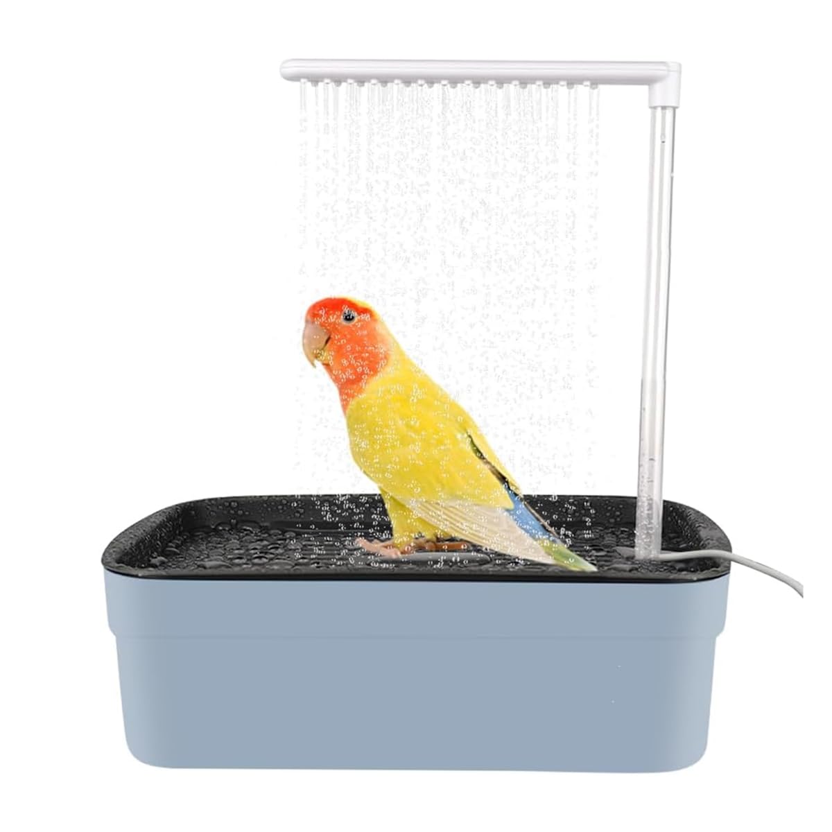 Alide Bañera para pájaros con ciclo automático de agua y múltiples grifos, ducha multiusos para loros, ducha eléctrica USB para periquitos, color gris
