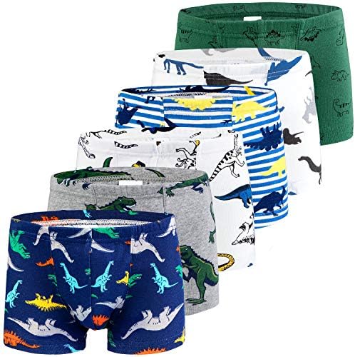 Auranso Boys Boxer Briefs Underwear Dinosaur 6 Pack Multicolored07 10