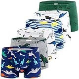Auranso Boys Boxer Briefs Underwear Dinosaur 6 Pack Multicolored07 10