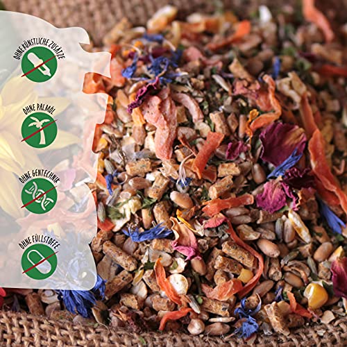 WachtelGold hühnergold Hühner Premium Futter 2x10kg - ohne Gentechnik - mit Kräutern, Gemüse & Grit
