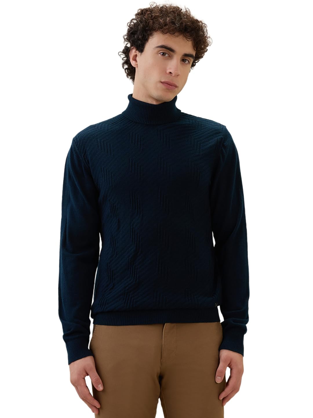 raymond Men Contemporary Fit Structure Pattern Acrylic Wool Blend Full Sleeve Turtle Neck Casual Winter Wear Blue-picture-34