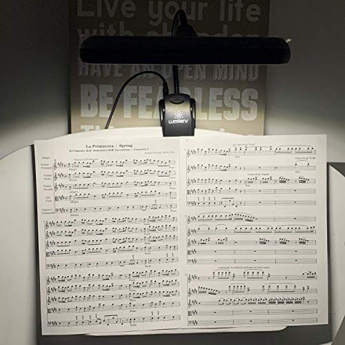 Lumiens L9 - Music Stand Light Clip On - Led Musician Lamp For All Music Stands, Pianos, Orchestra Pits, Work Tables, Desks, And More - #1 Among Music Stand Lights - Aa Battery Powered #TOP1