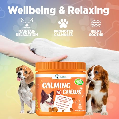 Image of Calming Chews for Dogs Composure & Relaxation for Everyday Stress & Separation Peanut Butter 120 Count