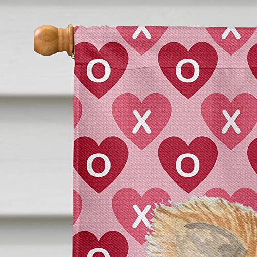 Drapeau Chihuahua amour et cœurs portrait de chien pour la maison - 4