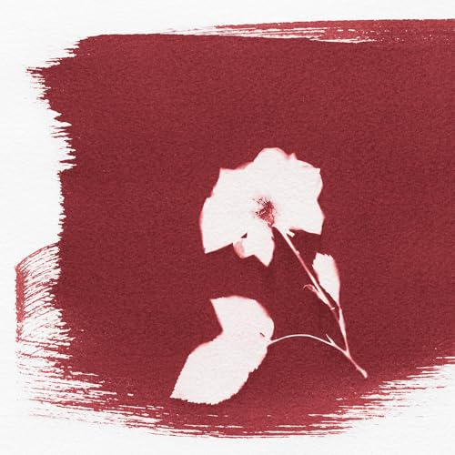 The Root of the Matter: The Garden