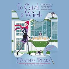 To Catch a Witch cover art