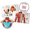 51hq+cv7acl - Virtual Reality Human Body - Illustrated Interactive VR Book and STEM Learning Activity Set