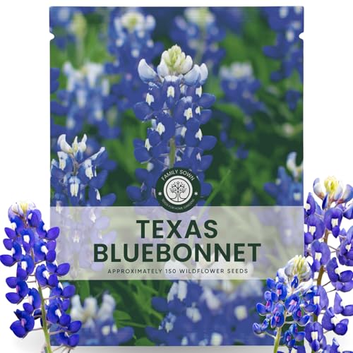 Texas Bluebonnet 150 Seeds for Planting 2026 Season 5-Gram Pouch