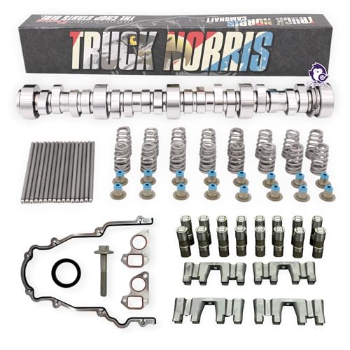 Dynosty BTR TRUCK NORRIS Cam Kit with Pushrods Delphi Lifters & Trays LS 4.8 5.3 6.0