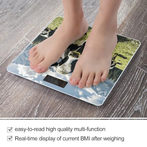 Báscula digital de baño de vidrio templado diseño vaca miniatura 5