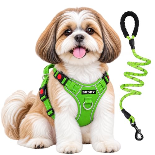 Image of Dog Harness for Small Dogs | No Pull, Adjustable, Reflective, Harness Leash Combo for 5-13Kg Pets (Green, Small)