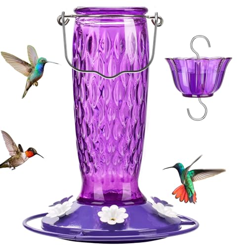 Kingsyard Hummingbird Feeders for Outdoors Hanging, 24 Ounce, Glass Hummingbird Feeder with Ant Moat & 6 Bee Guard Feeding Ports, Leak-Proof, Purple