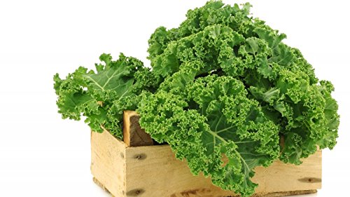 Seeds care Kale Collard Super Leaves, Edible (Pack of 50 Seeds) (B01DR0R21O) Amazon Price History, Amazon Price Tracker