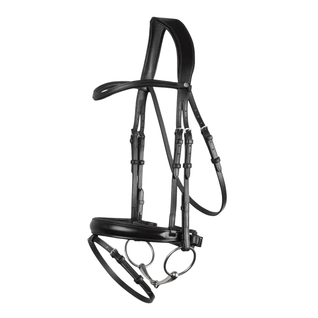 BLESSING PET SUPPLY Horse Riding Gears And Track Set (Leather Bridle With BIT)