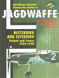 Jagdwaffe: Blitzkrieg & Sitzkrieg: Poland & France 1939-1940 -Volume One Section 3 (Luftwaffe Colours)