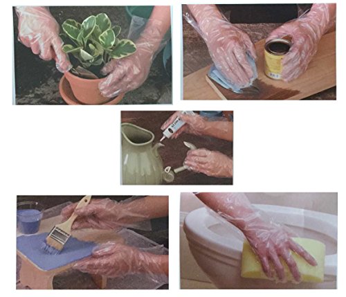 Clean Ones 513017 500 Count Disposable Poly Gloves