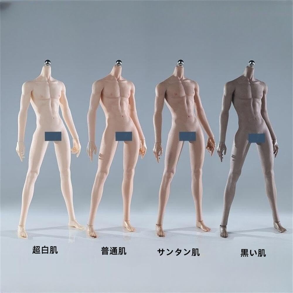 Amazon.co.jp: HiPlay JIAOUDOLL 1/6 超柔軟性 男性 シームレス 