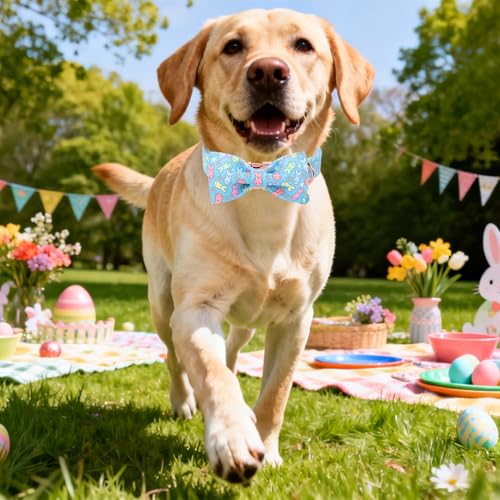 Image of DOGWONG Easter Dog Collar, Blue Bunny Print Dog Collar with Bow, Girl Boy Pet Spring Holiday Dog Collars for Small Dogs,S