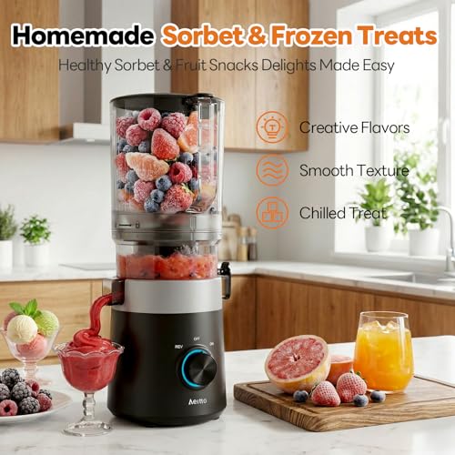 Slow Masticating Juicer Extractor