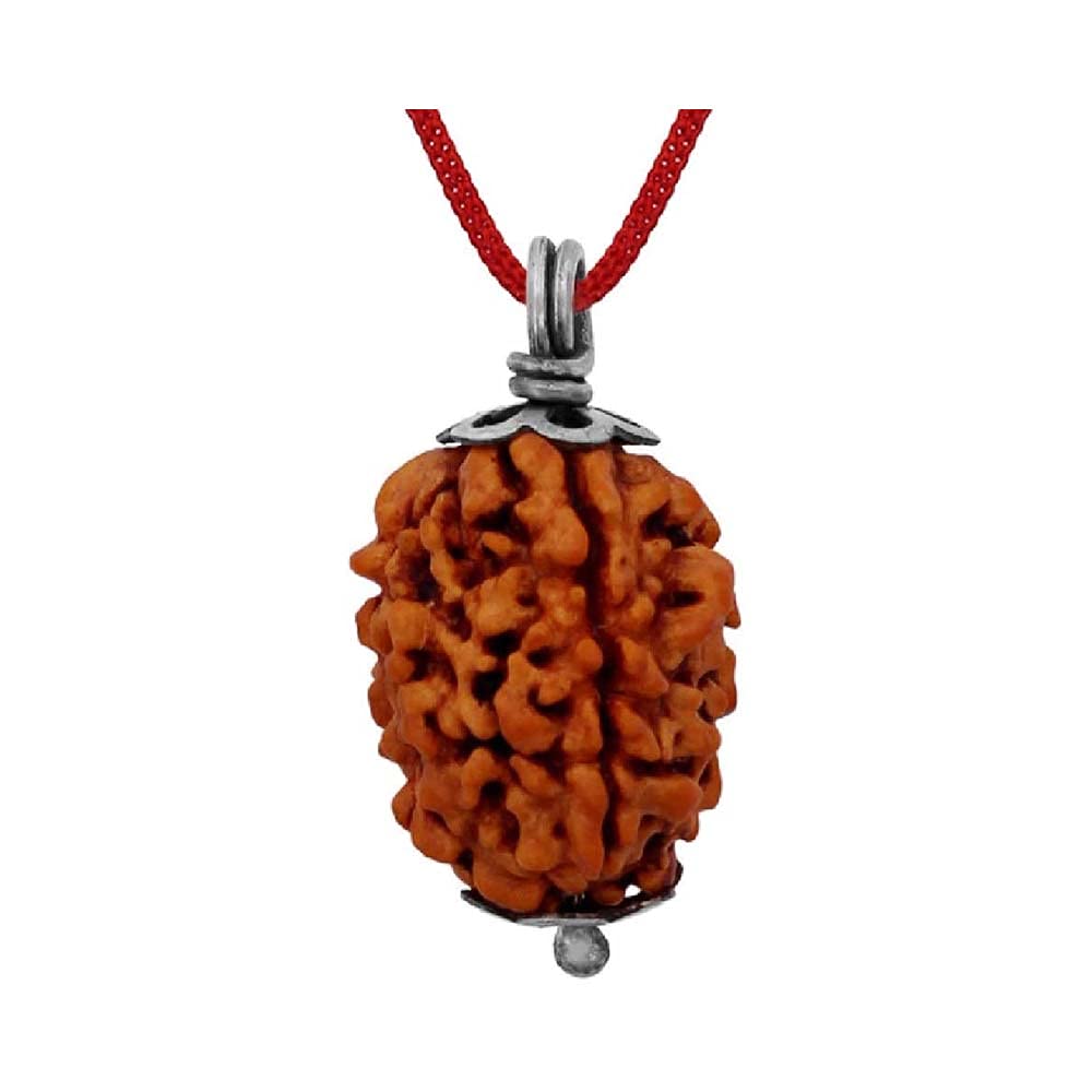 Rudraksha 4 Mukhi perle naturelle mantra quatre faces Népal marron