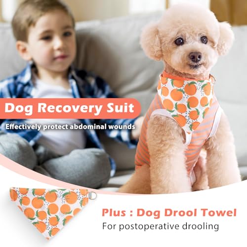 Image of Dog Surgery Recovery Suit After Spay with Dog Bandana,Female Male Dog Onesie After Surgery,Anti Licking Abdominal Wound Neuter Recovery Suit,Dog Cone Alternative After Surgical-Orange Gray Stripe,XL