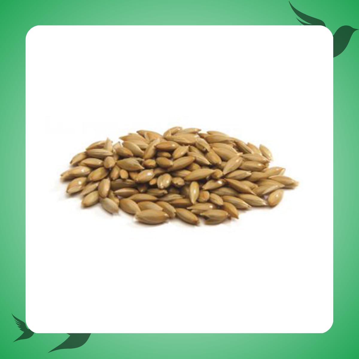 Bonus de semillas de escamuela 25 kg (alimento para pájaros)