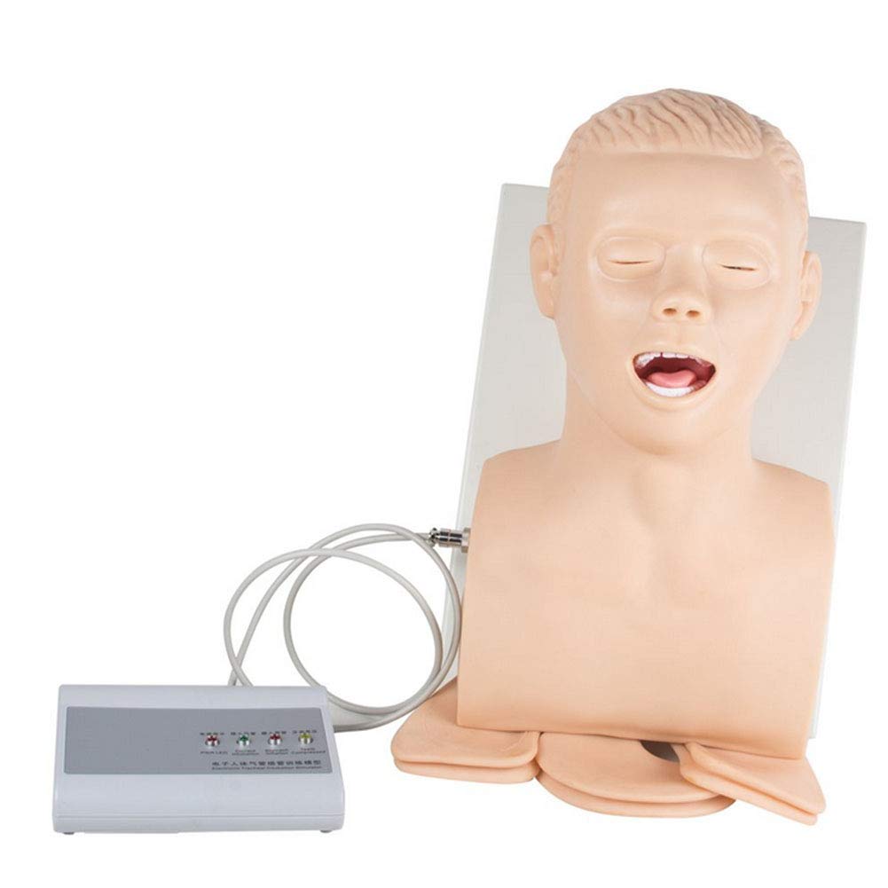 Buy GHTTHJ Electronic Tracheal Intubation Training Simulator Model PVC