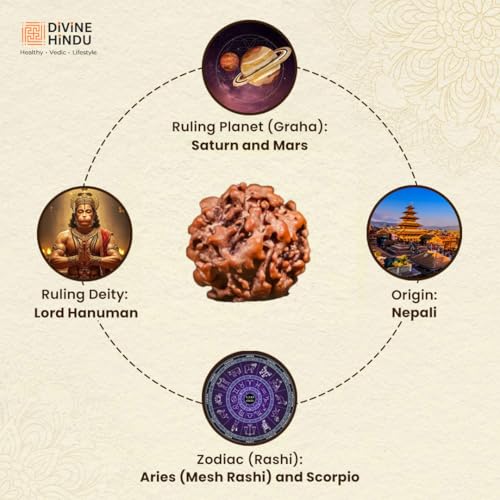 Image of Divine Hindu Nirakar (Zero Mukhi) Rudraksha | Rare Natural Rudraksha Bead | Original Rudraksha for Moksha, Spiritual, Meditation, Healing, Protection & Energy Balance & Positive Vibes