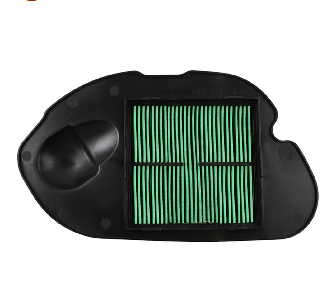 Suzuki Burgman Street/Access 125 New Model Air Filter-image-3