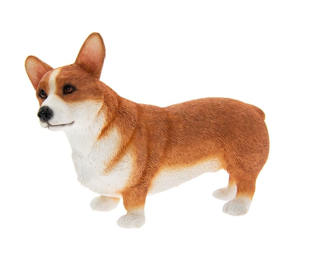 Amazon.com: Lesser & Pavey The Leonardo Dog Studies Corgi Figure