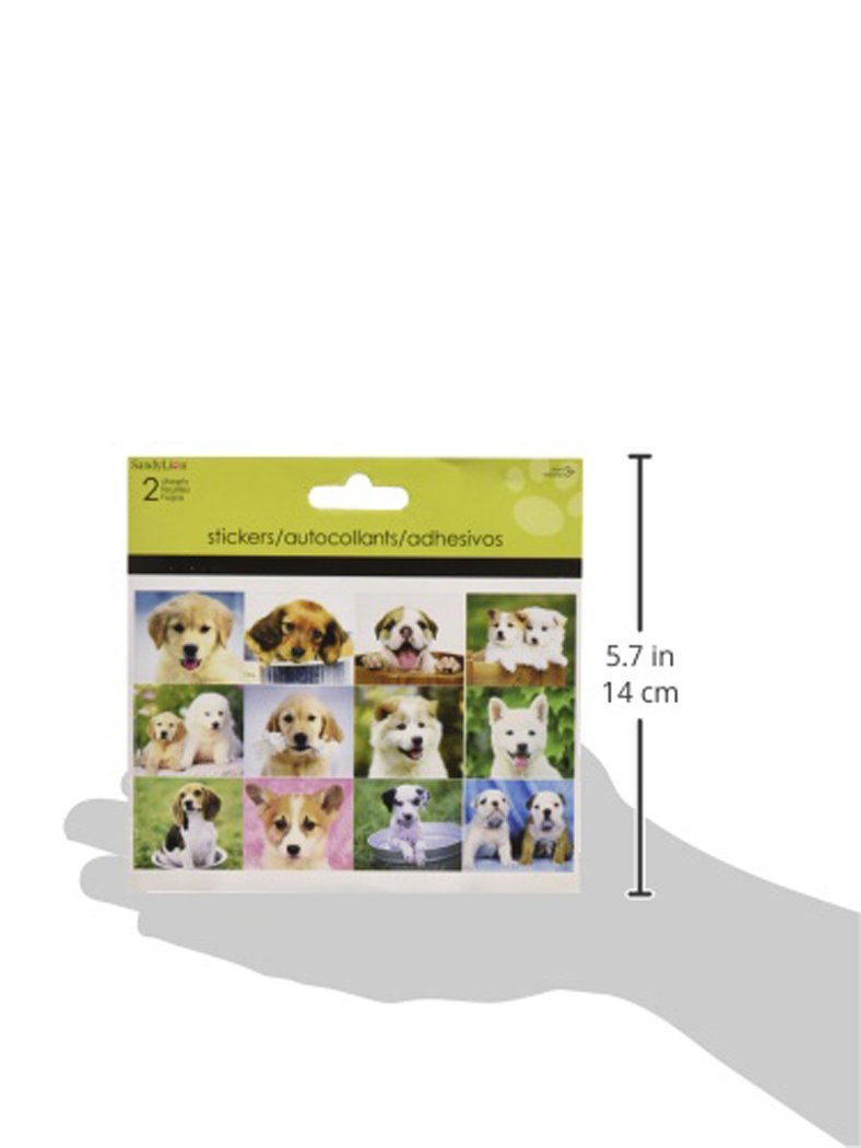 Amazon.com: SandyLion Puppies Mini Foldover